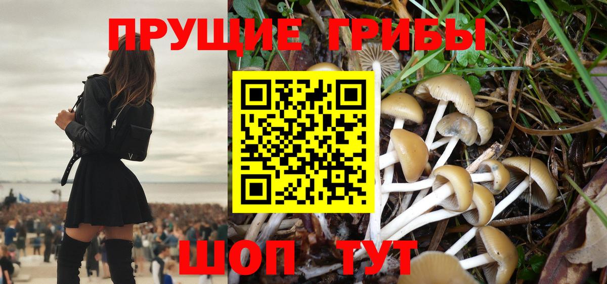Псилоцибиновые грибы GOLDEN TEACHER Избербаш